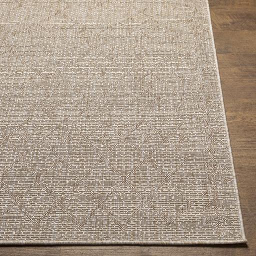 Surya Eagean EAG-2404 Beige Brown 6'7" Square Rug