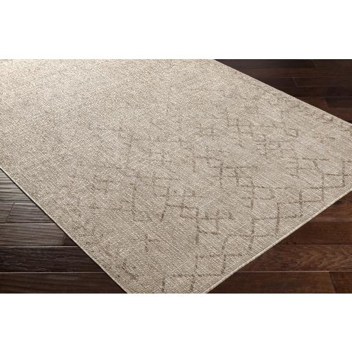 Surya Eagean EAG-2404 Beige Brown 6'7" Square Rug