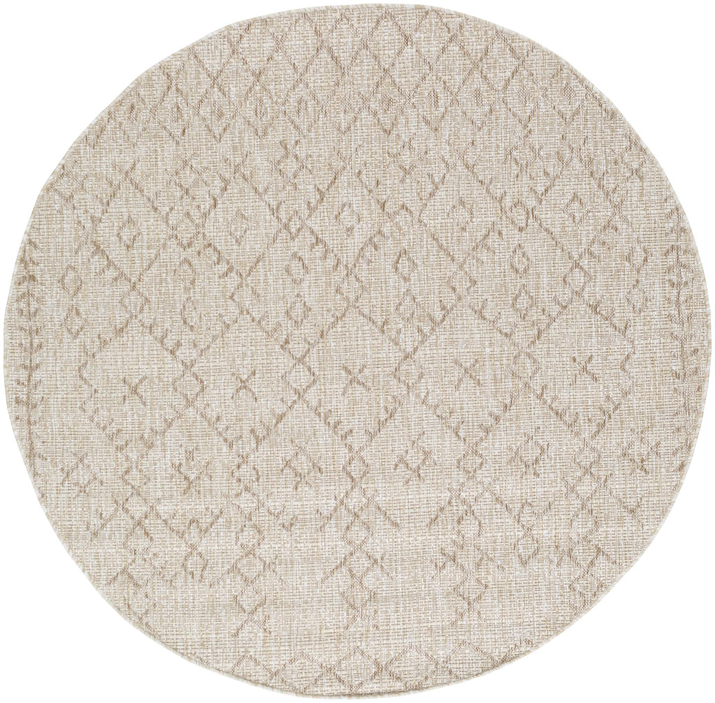 Surya Eagean EAG-2404 Beige Brown 7'10" Square Rug