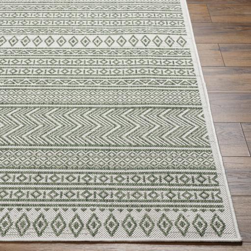 Surya Eagean EAG-2425 Dark Green Grass Green 7'10" Square Rug