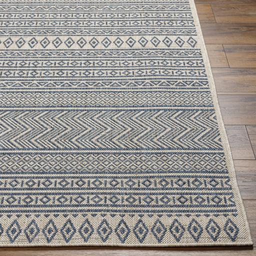 Surya Eagean EAG-2428 Blue Charcoal 7'10" Square Rug