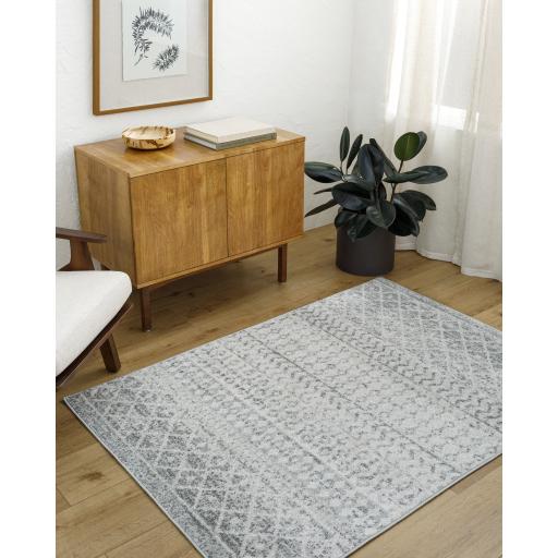 Surya Elaziz ELZ-2308 Gray Light Gray 10' Square Rug