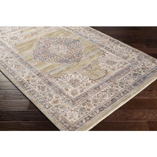 Surya Ephesians EPC-2341 Brick Red Cream 7'10" x 9'8" Rug