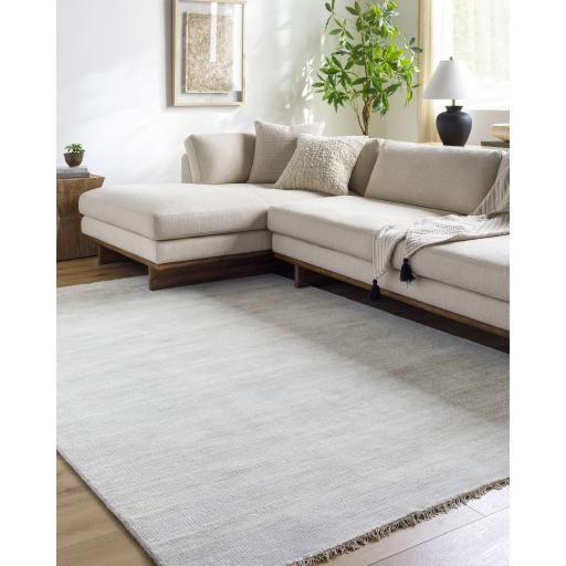 Surya Epic EPI-2309 Light Gray 10' Square Rug