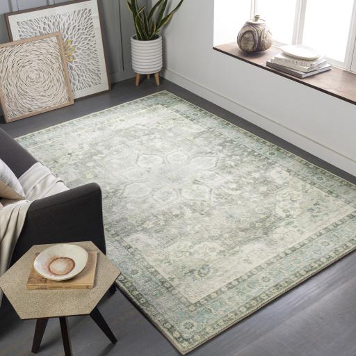 Surya Erin ERN-2309 Aqua Cream 2'7" x 4' Rug