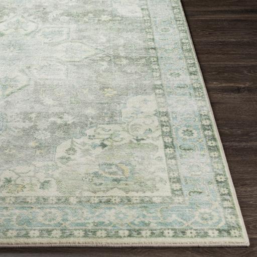 Surya Erin ERN-2309 Aqua Cream 2'7" x 4' Rug