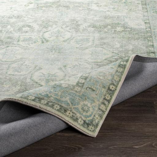 Surya Erin ERN-2309 Aqua Cream 2'7" x 4' Rug