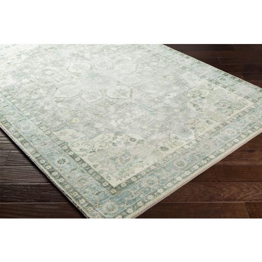 Surya Erin ERN-2309 Aqua Cream 2'7" x 4' Rug