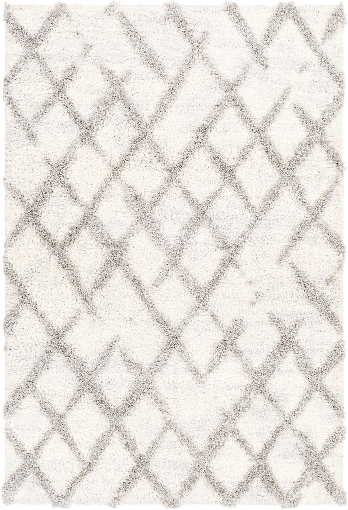 Surya Everton ETN-2300 Gray Light Gray 2' x 3' Rug