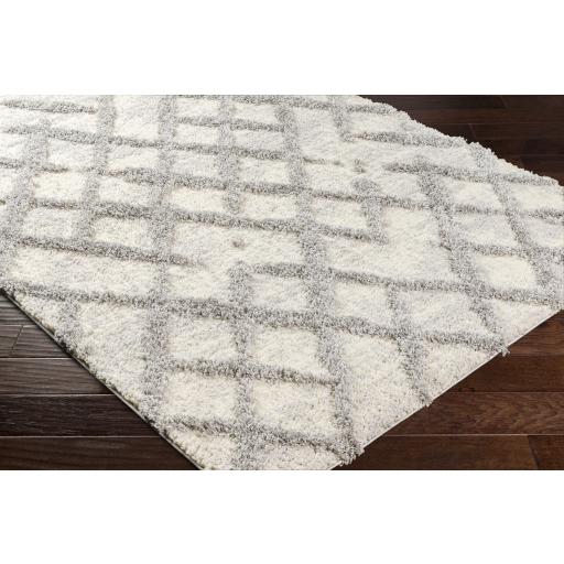 Surya Everton ETN-2300 Gray Light Gray 2' x 3' Rug