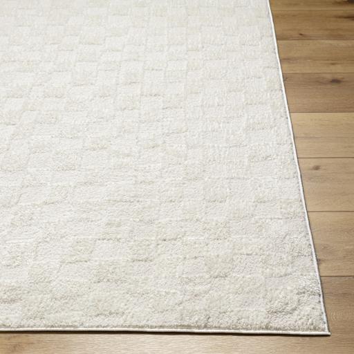 Surya Freud FEU-2306 Ivory Off-White 2'7" x 7'3" Rug