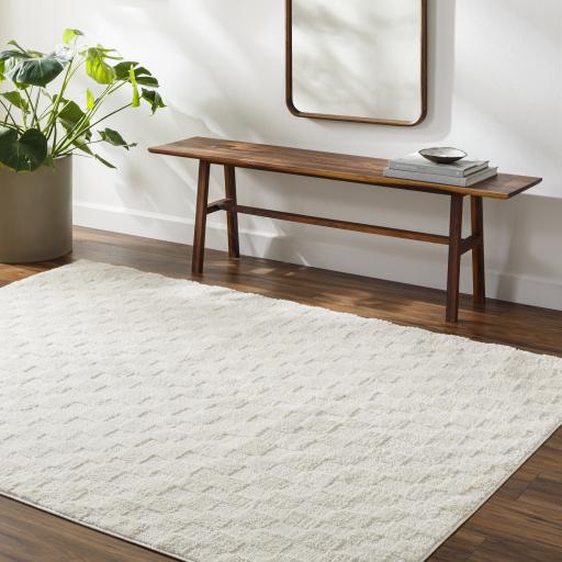 Surya Freud FEU-2306 Ivory Off-White 9'2" x 12' Rug