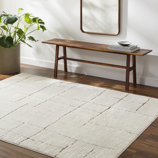 Surya Freud FEU-2310 Brown Ivory 2'7" x 7'3" Rug