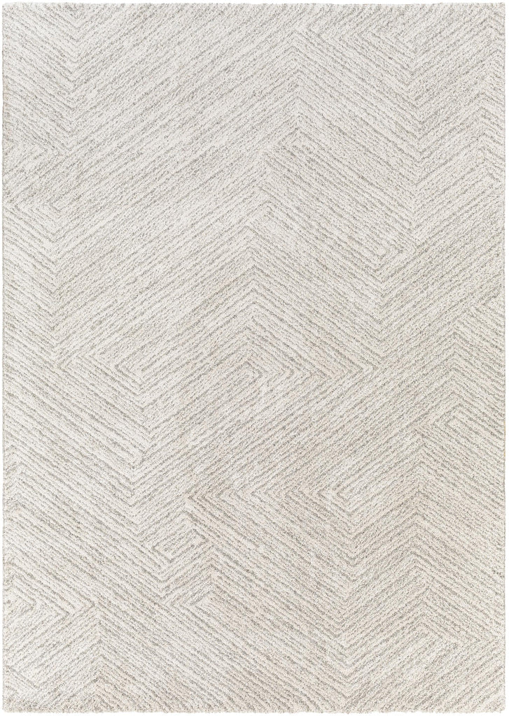 Surya Gavic GVC-2302 2' x 3' Rug