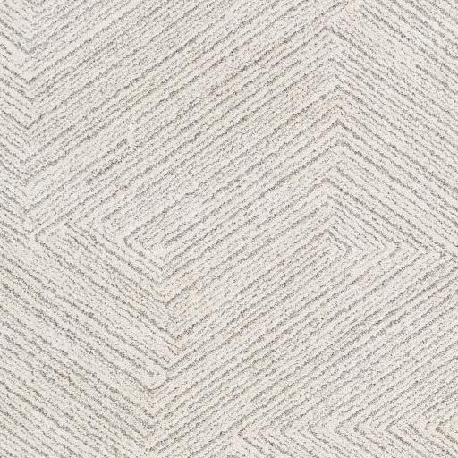 Surya Gavic GVC-2302 Charcoal Cream 2' x 2'11" Rug