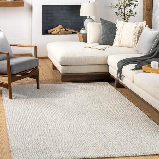 Surya Gavic GVC-2304 Charcoal Cream 2' x 2'11" Rug