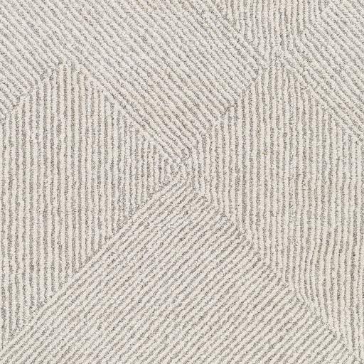 Surya Gavic GVC-2304 Charcoal Cream 2' x 2'11" Rug