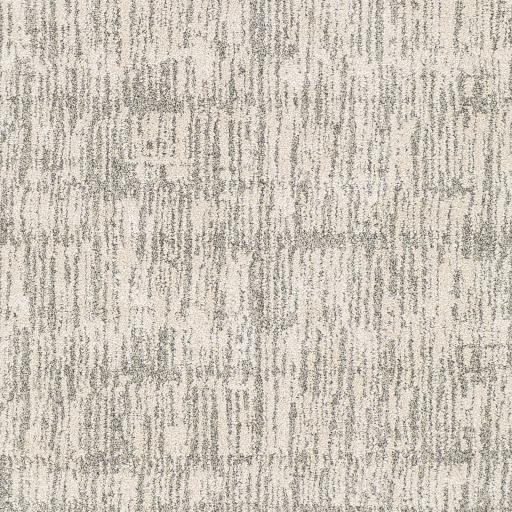 Surya Gavic GVC-2309 Charcoal Cream 2' x 2'11" Rug