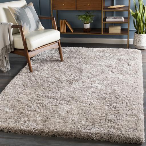 Surya Grizzly GRIZZLY-10 Light Gray 10' x 14' Rug