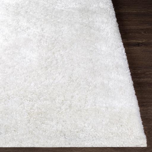 Surya Grizzly GRIZZLY-9 White 10' x 14' Rug