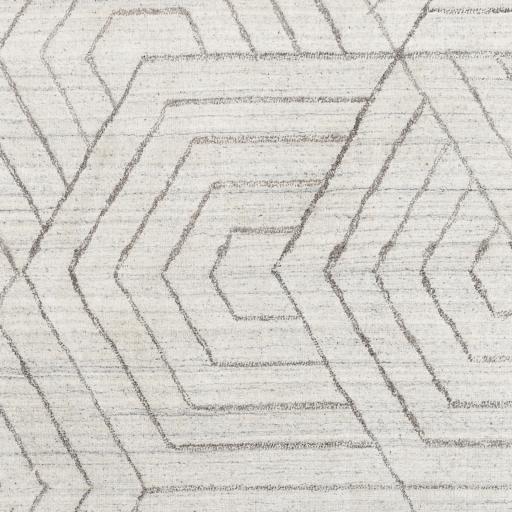 Surya Hightower HTW-3012 Charcoal Cream 2' x 3' Rug