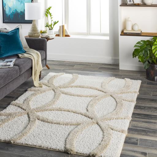 Surya Hudson Shag HDS-2303 Cream Light Gray 9'2" x 12' Rug