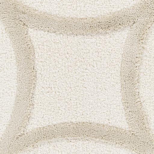 Surya Hudson Shag HDS-2303 Cream Light Gray 9'2" x 12' Rug