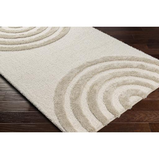 Surya Hudson Shag HDS-2308 Cream Light Gray 9'2" x 12' Rug