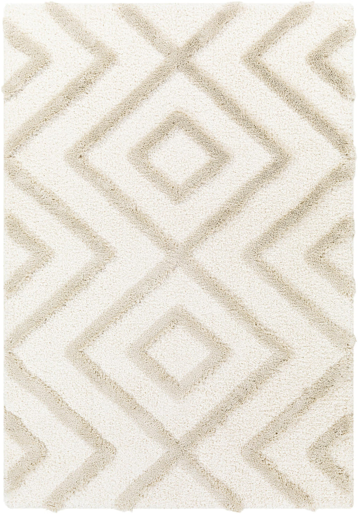 Surya Hudson Shag HDS-2309 Cream Light Gray 9'2" x 12' Rug