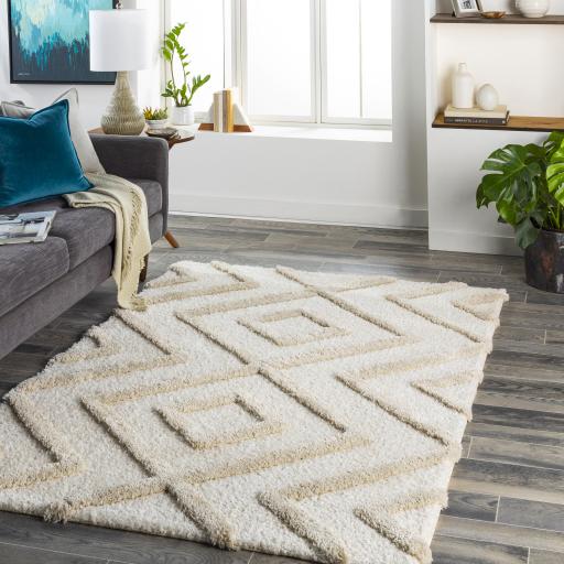 Surya Hudson Shag HDS-2309 Cream Light Gray 9'2" x 12' Rug