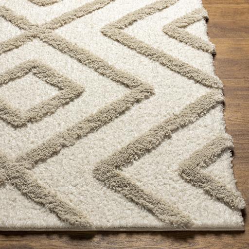 Surya Hudson Shag HDS-2309 Cream Light Gray 9'2" x 12' Rug