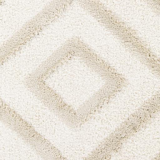 Surya Hudson Shag HDS-2309 Cream Light Gray 9'2" x 12' Rug