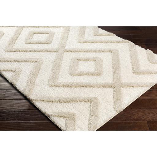 Surya Hudson Shag HDS-2309 Cream Light Gray 9'2" x 12' Rug