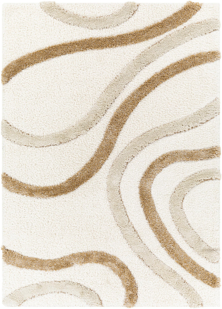 Surya Hudson Shag HDS-2311 Brown Cream 5'3" x 7' Rug