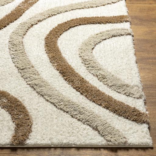 Surya Hudson Shag HDS-2311 Brown Cream 5'3" x 7' Rug