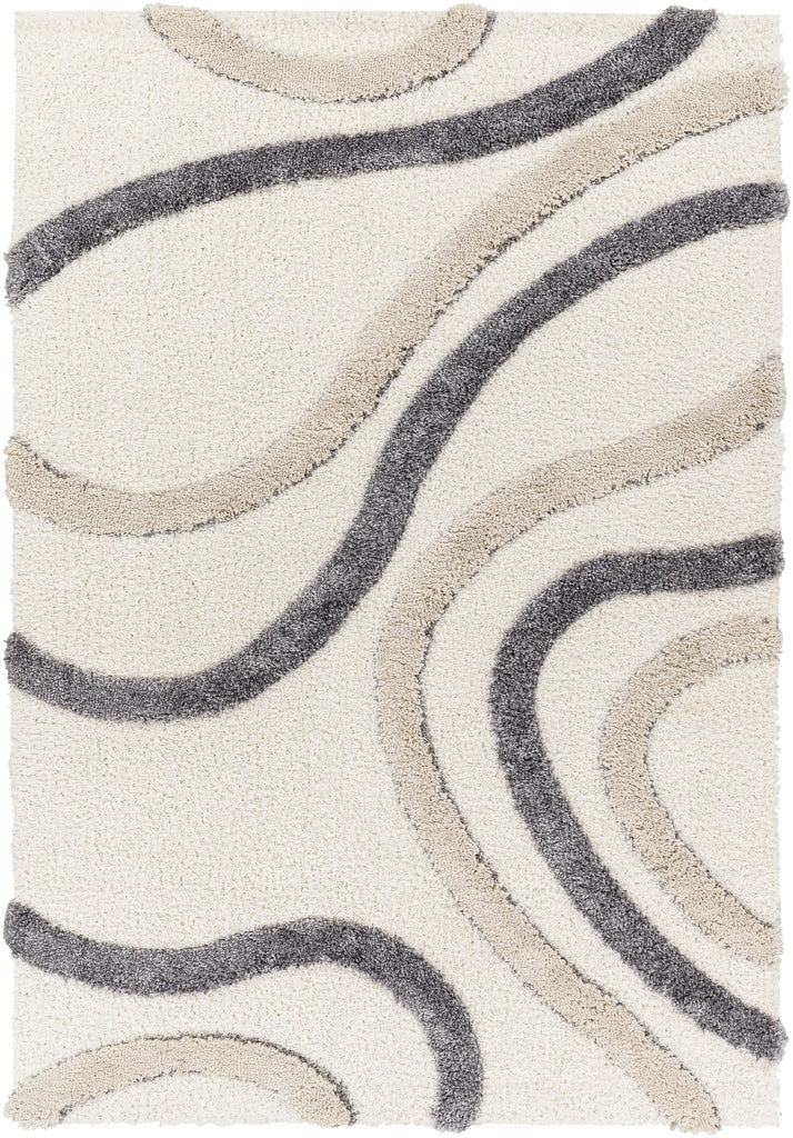 Surya Hudson Shag HDS-2313 Charcoal Cream 9'2" x 12' Rug