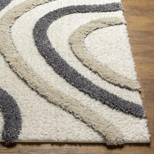 Surya Hudson Shag HDS-2313 Charcoal Cream 9'2" x 12' Rug