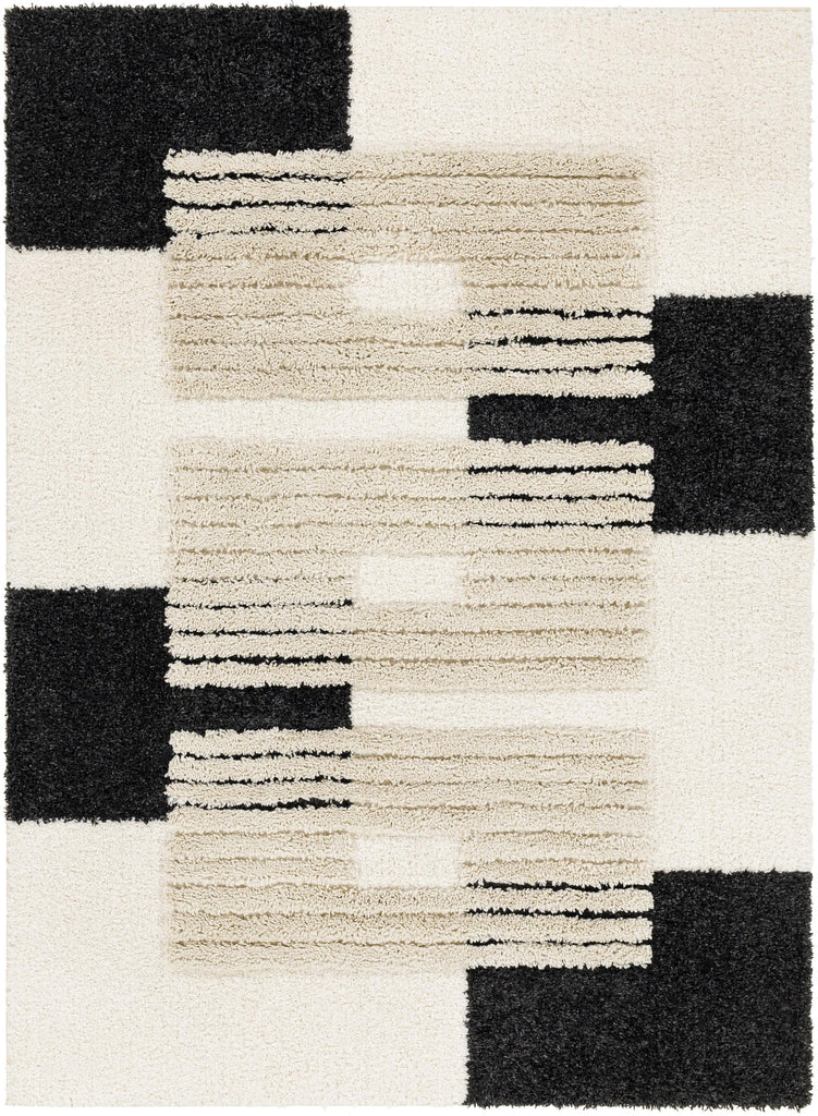 Surya Hudson Shag HDS-2314 Black Cream 5'3" x 7' Rug