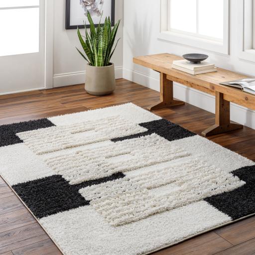 Surya Hudson Shag HDS-2314 Black Cream 5'3" x 7' Rug