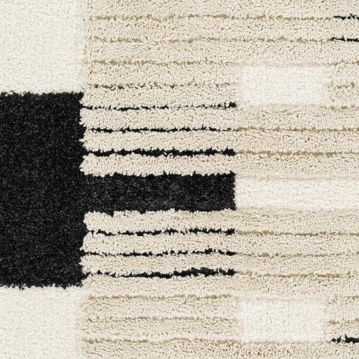 Surya Hudson Shag HDS-2314 Black Cream 5'3" x 7' Rug