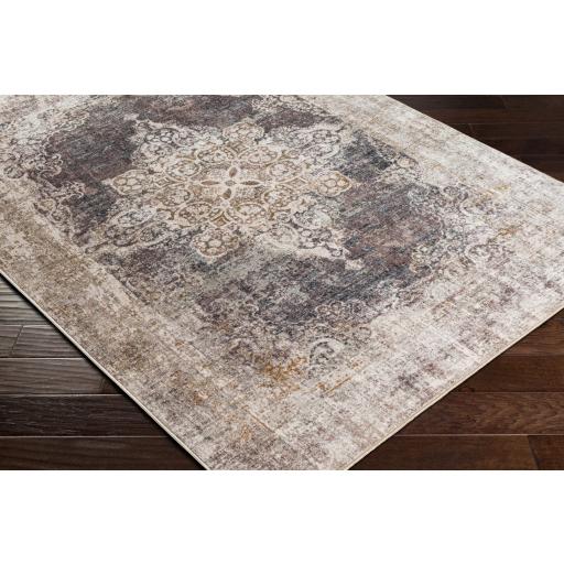 Surya Jefferson JFS-2312 Brown Dark Purple 2'7" x 4' Rug