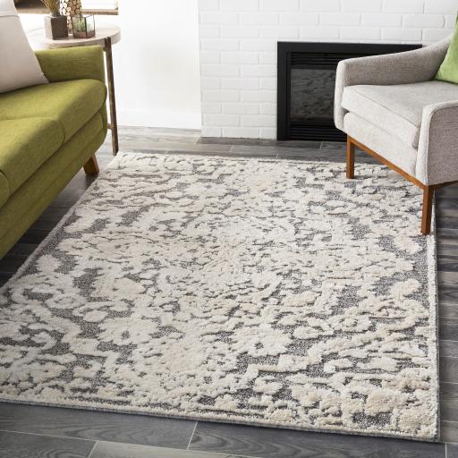 Surya La Maison LMS-2306 Beige Charcoal 2' x 3' Rug