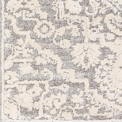 Surya La Maison LMS-2306 Beige Charcoal 2' x 3' Rug