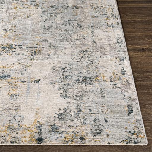 Surya Laila LAA-2303 Charcoal Cream 2'7" x 3'11" Rug