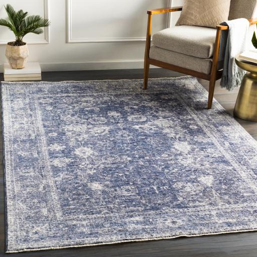 Surya Lincoln LIC-2303 Denim Light Beige 2' x 3'3" Rug