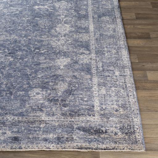 Surya Lincoln LIC-2303 Denim Light Beige 2' x 3'3" Rug