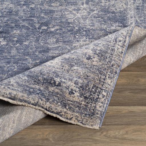 Surya Lincoln LIC-2303 Denim Light Beige 2' x 3'3" Rug