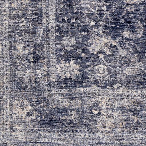 Surya Lincoln LIC-2303 Denim Light Beige 2' x 3'3" Rug