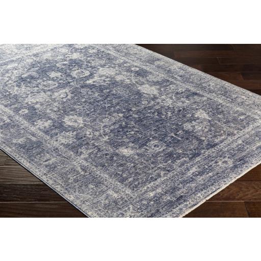 Surya Lincoln LIC-2303 Denim Light Beige 2' x 3'3" Rug