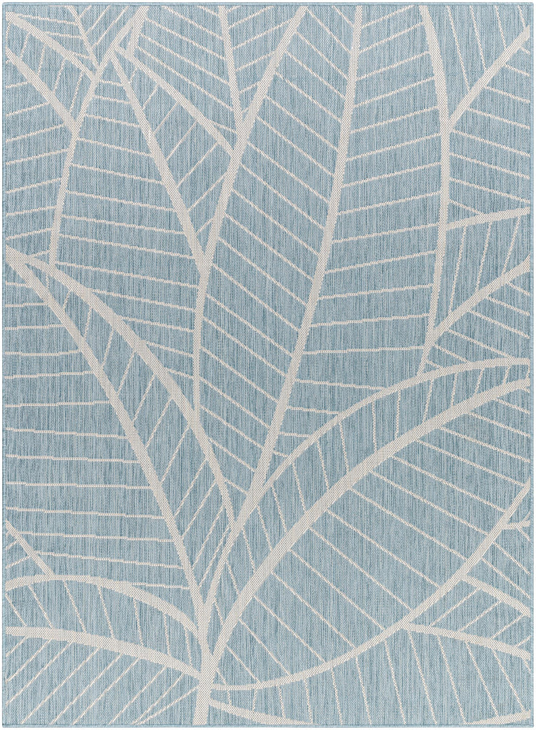 Surya Long Beach LBH-2303 5'3" x 7' Rug